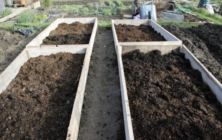 Перегній для грядок