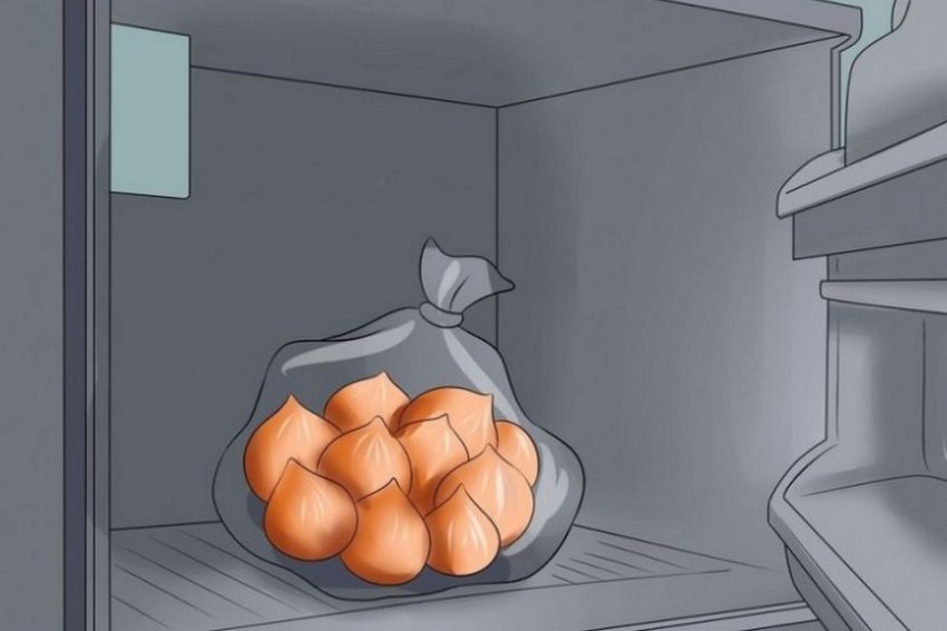 Как сохранить тюльпаны в холодильнике