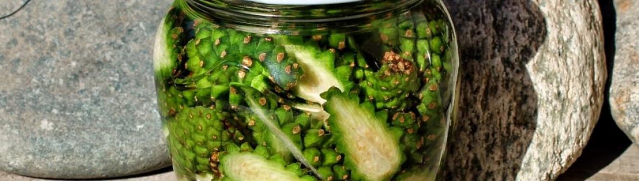 Лікування судин настоянкою з соснових шишок