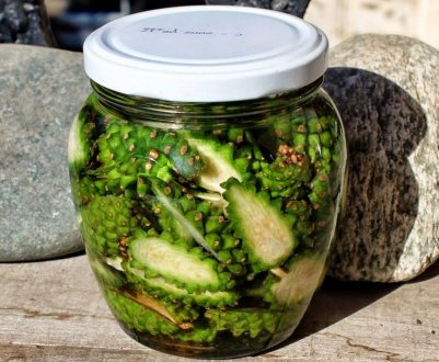 Лікування судин настоянкою з соснових шишок