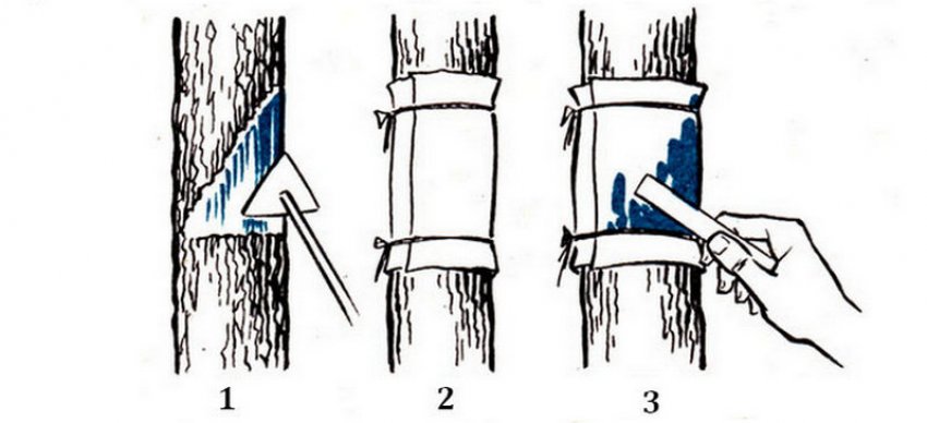 Установка на дерево ловецького пояса
