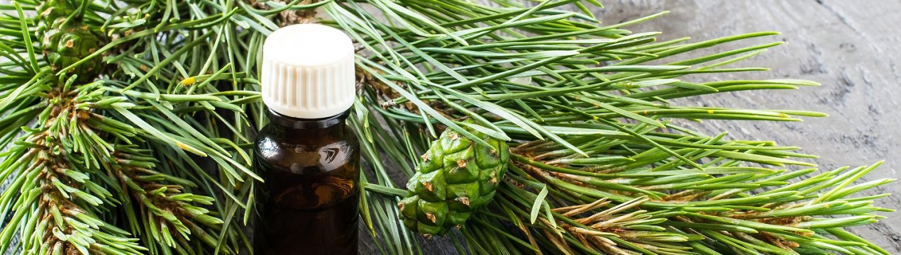 Застосування і властивості ефірного масла сосни