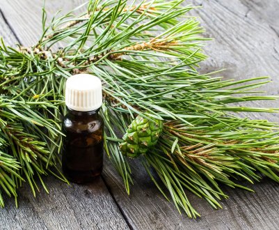 Застосування і властивості ефірного масла сосни