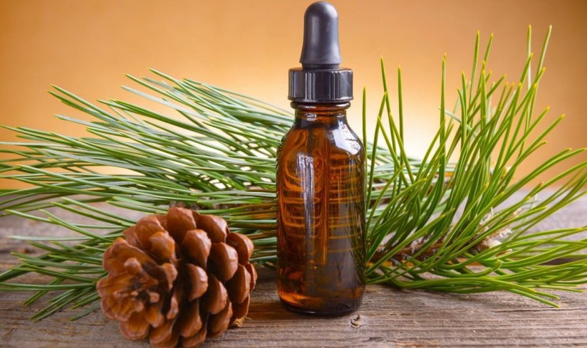 Ефірне масло сосни