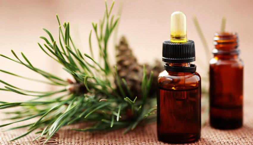 Ефірне масло з хвої сосни