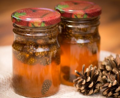 Властивості настойки із соснових бруньок на горілці