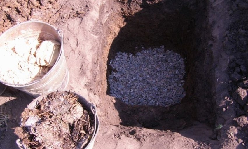 Підготовка посадкової ями для сосни Підготовка посадкової ями для сосни