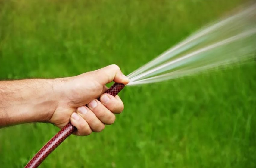 Полив з шланга