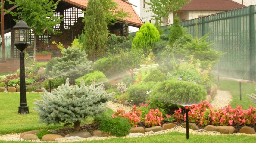 Система зрошення для хвойної композиції Система зрошення для хвойної композиції
