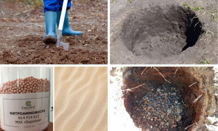 Підготовка місця до посадки