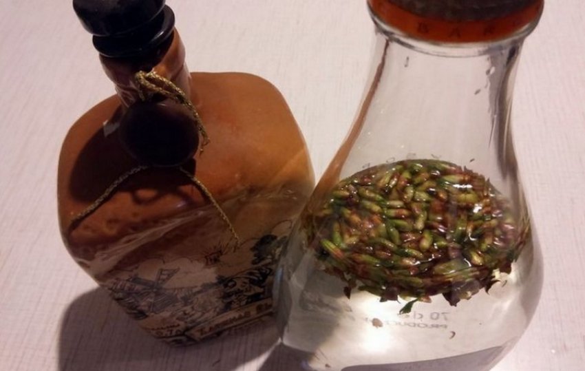 Настоянка на горілці Настоянка на горілці