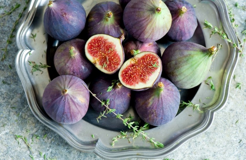 Черкаський садівник вирощує 50 видів екзотичних рослин