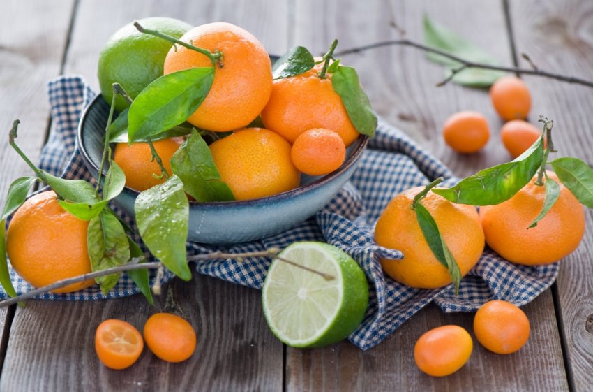 Черкаський садівник вирощує 50 видів екзотичних рослин