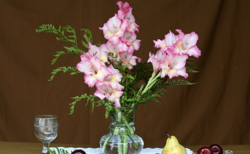 Гладіолуси у вазі