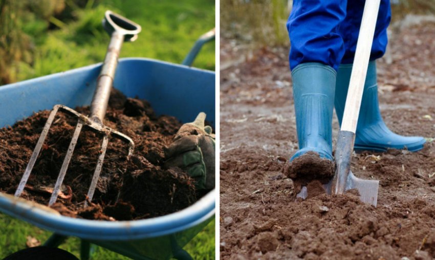 Підготовка грунту в середині літа