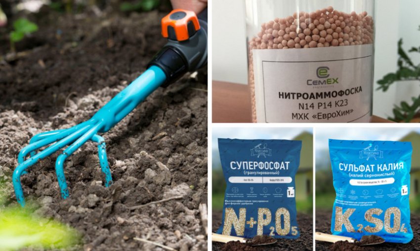 Розпушування грунту і підживлення