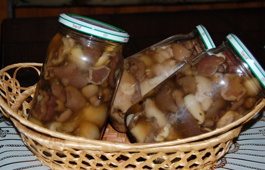 Маслята в банках Маслята в банках