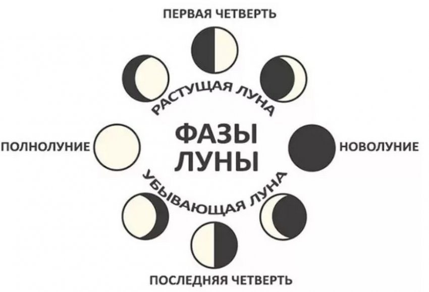 Тюльпаны в августе что делать. Тюльпаны в августе что делать фото. картинка Тюльпаны в августе что делать. смотреть фото Тюльпаны в августе что делать. смотреть картинку Тюльпаны в августе что делать.