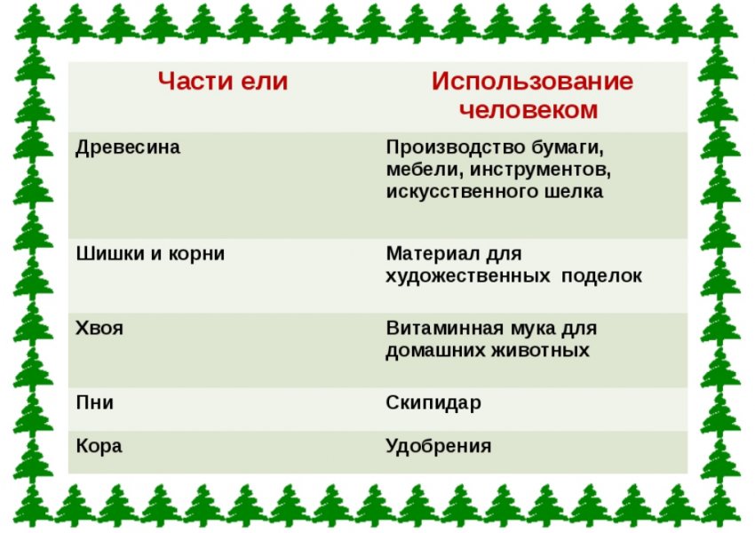Застосування їли Застосування їли