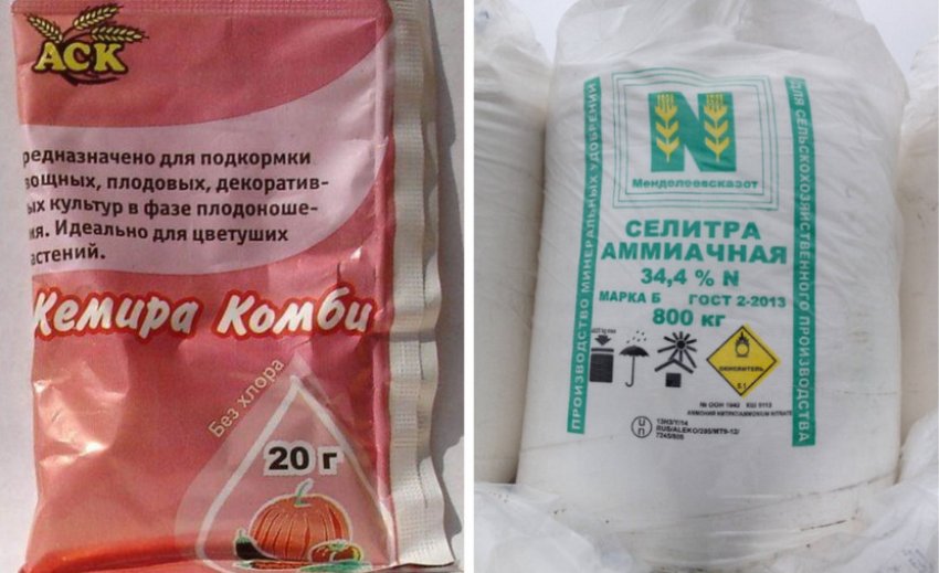 Підгодівлі для гладіолусів Підгодівлі для гладіолусів