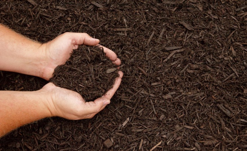 Органічна мульча Органічна мульча