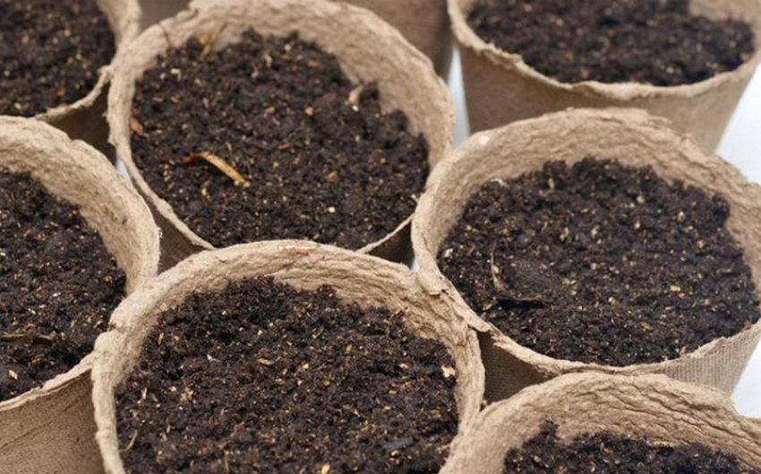 Торфоперегнійні стаканчики Торфоперегнійні стаканчики