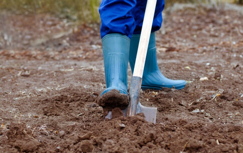 Перекопування грунту Перекопування грунту