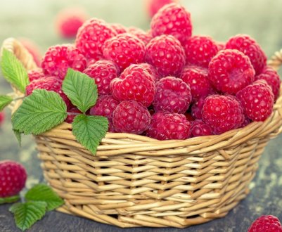 Перший у світі робот для збирання малини створений у Великобританії