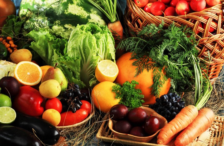 Ліванські фермери популяризують органічні продукти Ліванські фермери популяризують органічні продукти