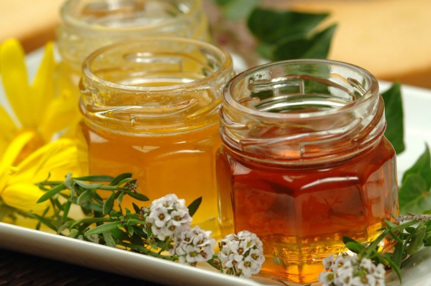 Ліванські фермери популяризують органічні продукти Ліванські фермери популяризують органічні продукти