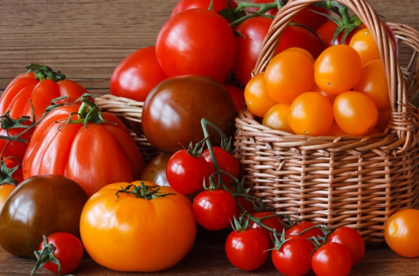 Спалах сальмонельозу в Швеції пов'язують з вживанням томатів