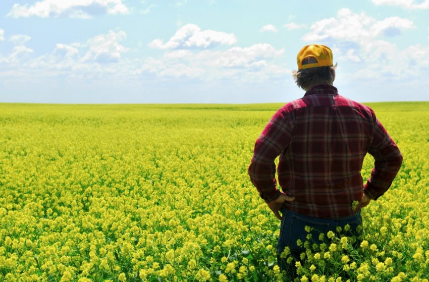 Рівень самогубств серед французьких фермерів на 20 відсотків вище середнього