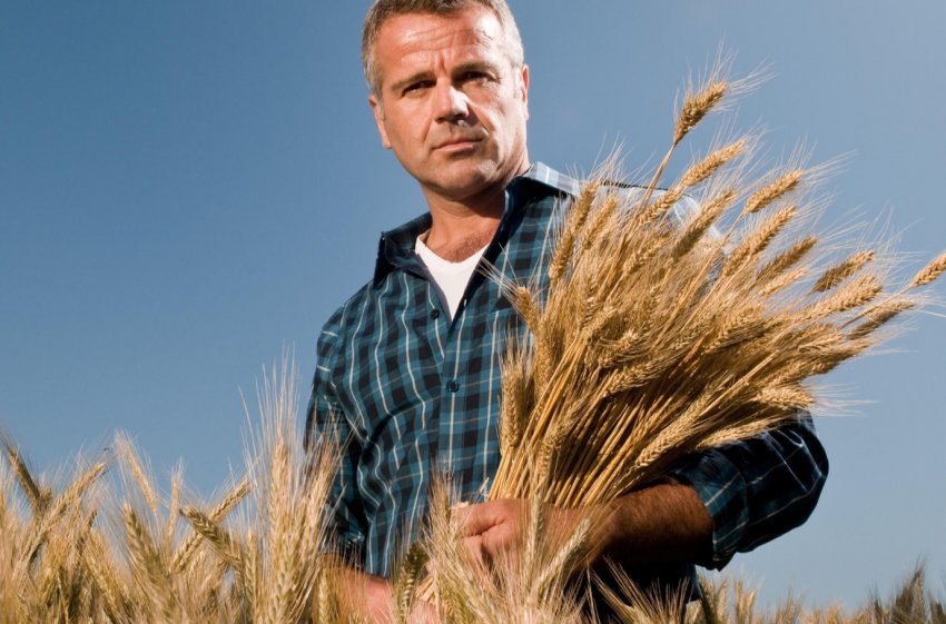 Рівень самогубств серед французьких фермерів на 20 відсотків вище середнього