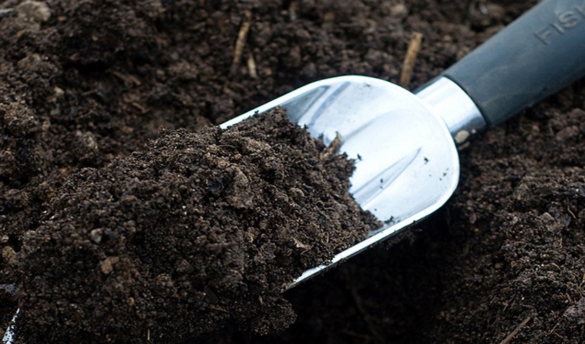 Грунт для розсади Грунт для розсади