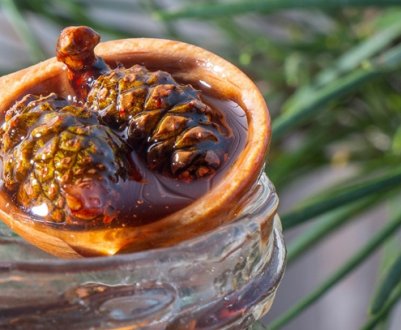 Користь і шкода варення із соснових шишок