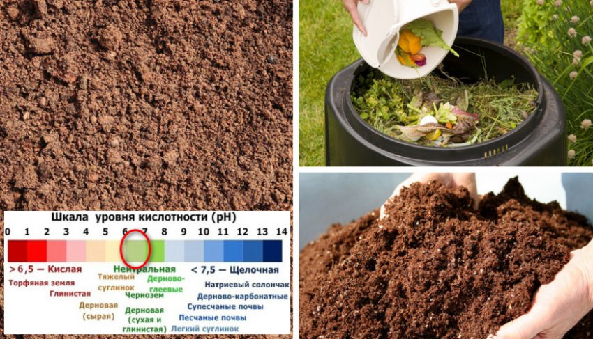 Підготовка місця для висадки Підготовка місця для висадки