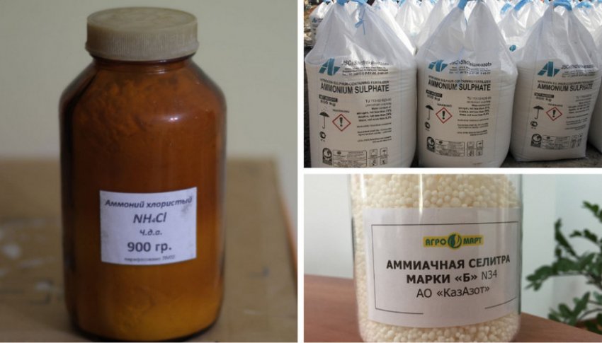 Підкислення грунту