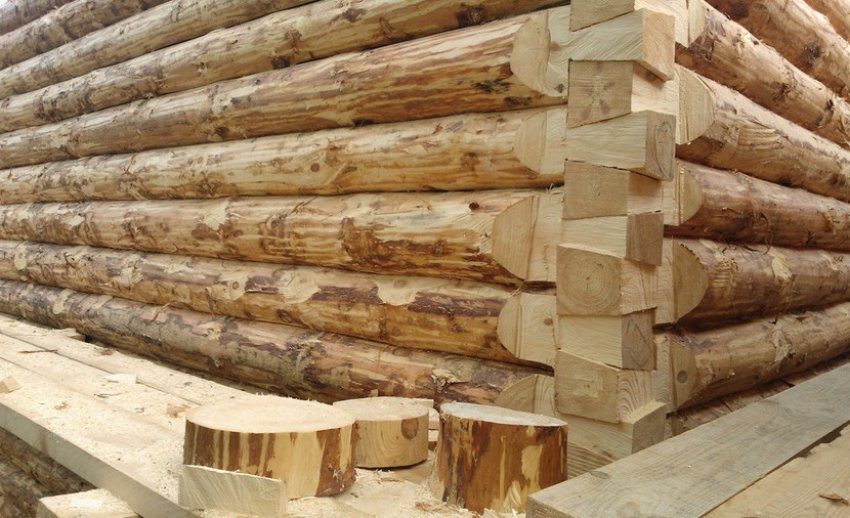 Деревина ялини для будівництва Деревина ялини для будівництва