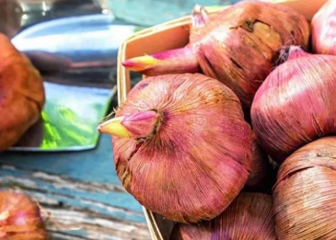 Як і коли викопувати гладіолуси на зиму: зберігання цибулин