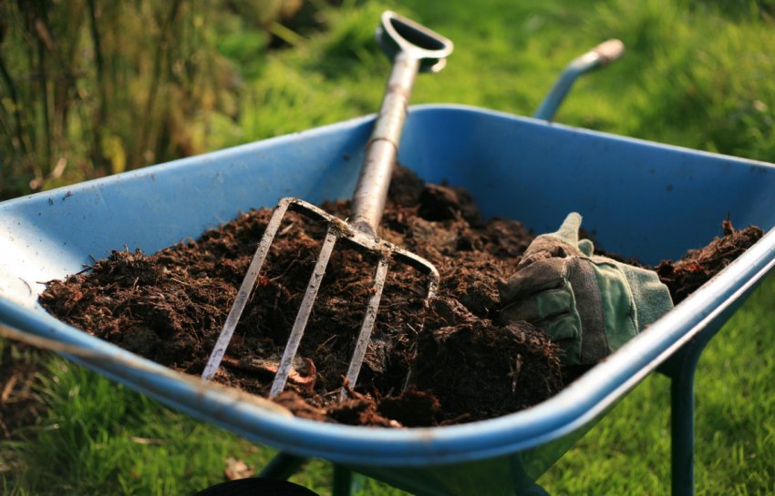 Внесення органічних добрив