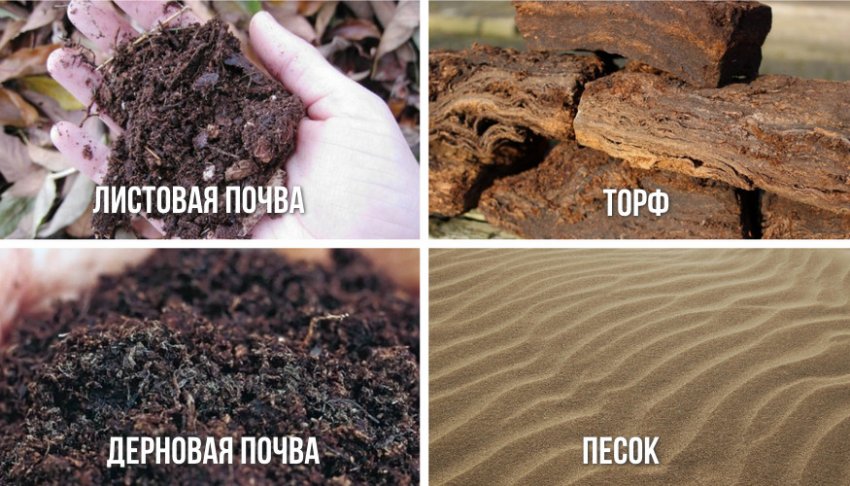 Суміш для посадкової ями Суміш для посадкової ями