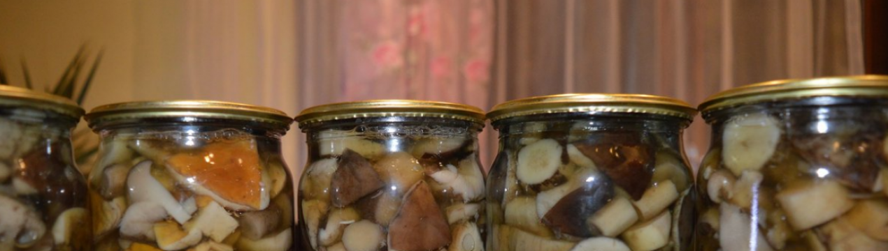 Заготівля на зиму сироїжок