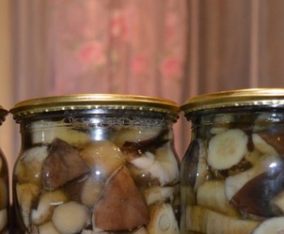 Заготівля на зиму сироїжок