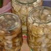 Сыроежки заготовки на зиму