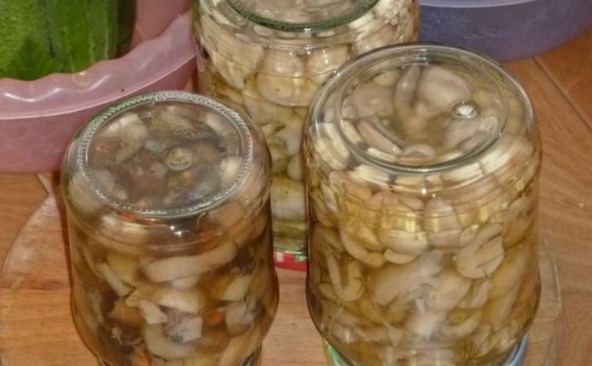 Солоні сироїжки Солоні сироїжки