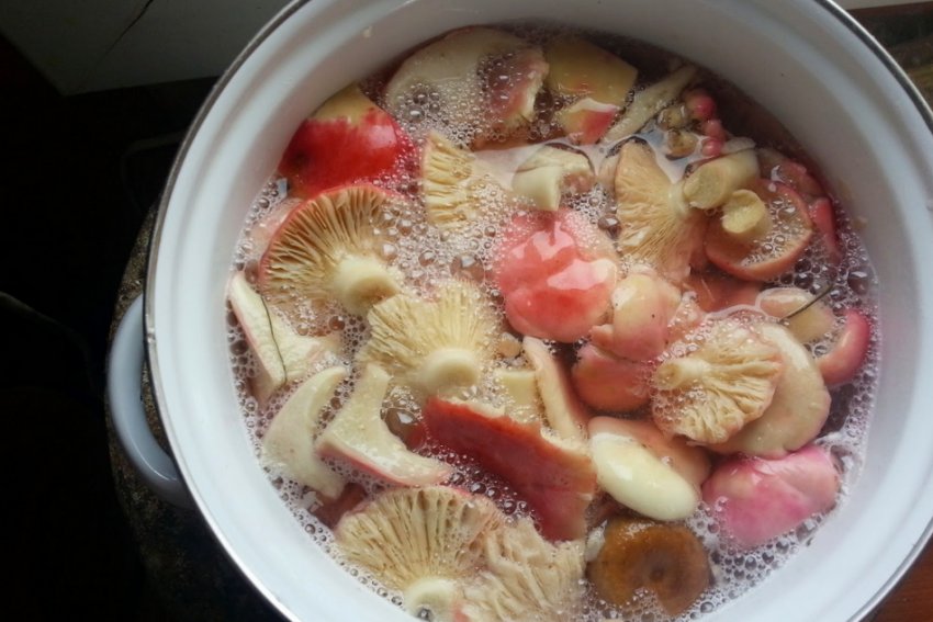 Сироїжки Сироїжки