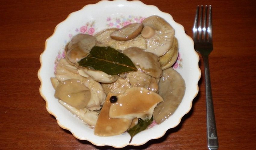 Солоні сироїжки Солоні сироїжки