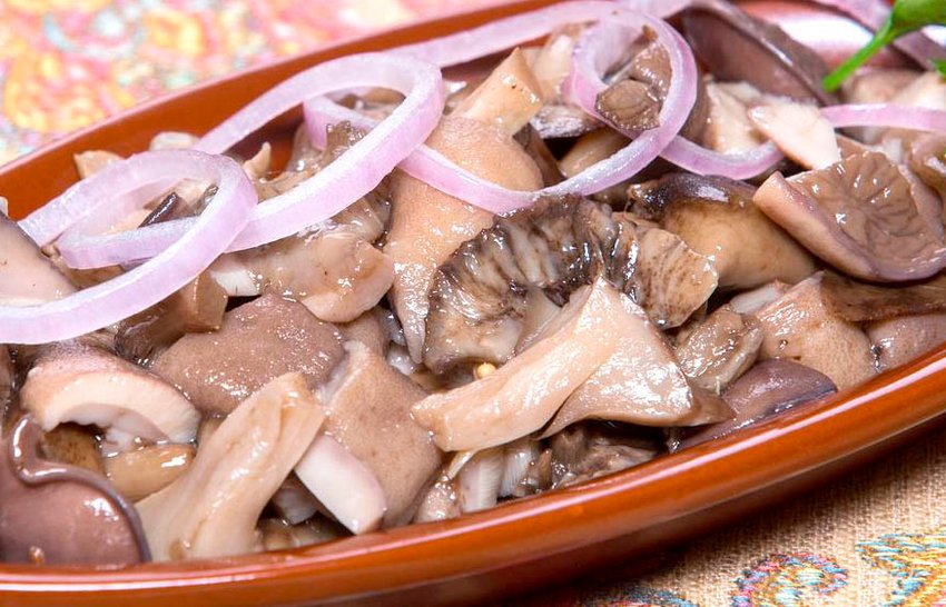 Мариновані сироїжки Мариновані сироїжки