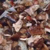 Сыроежки заготовки на зиму
