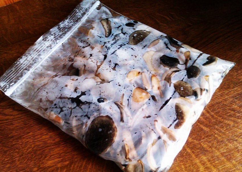 Заморожування грибів Заморожування грибів